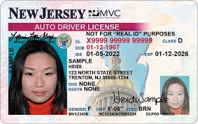 [EDIT: Driver's License alt]